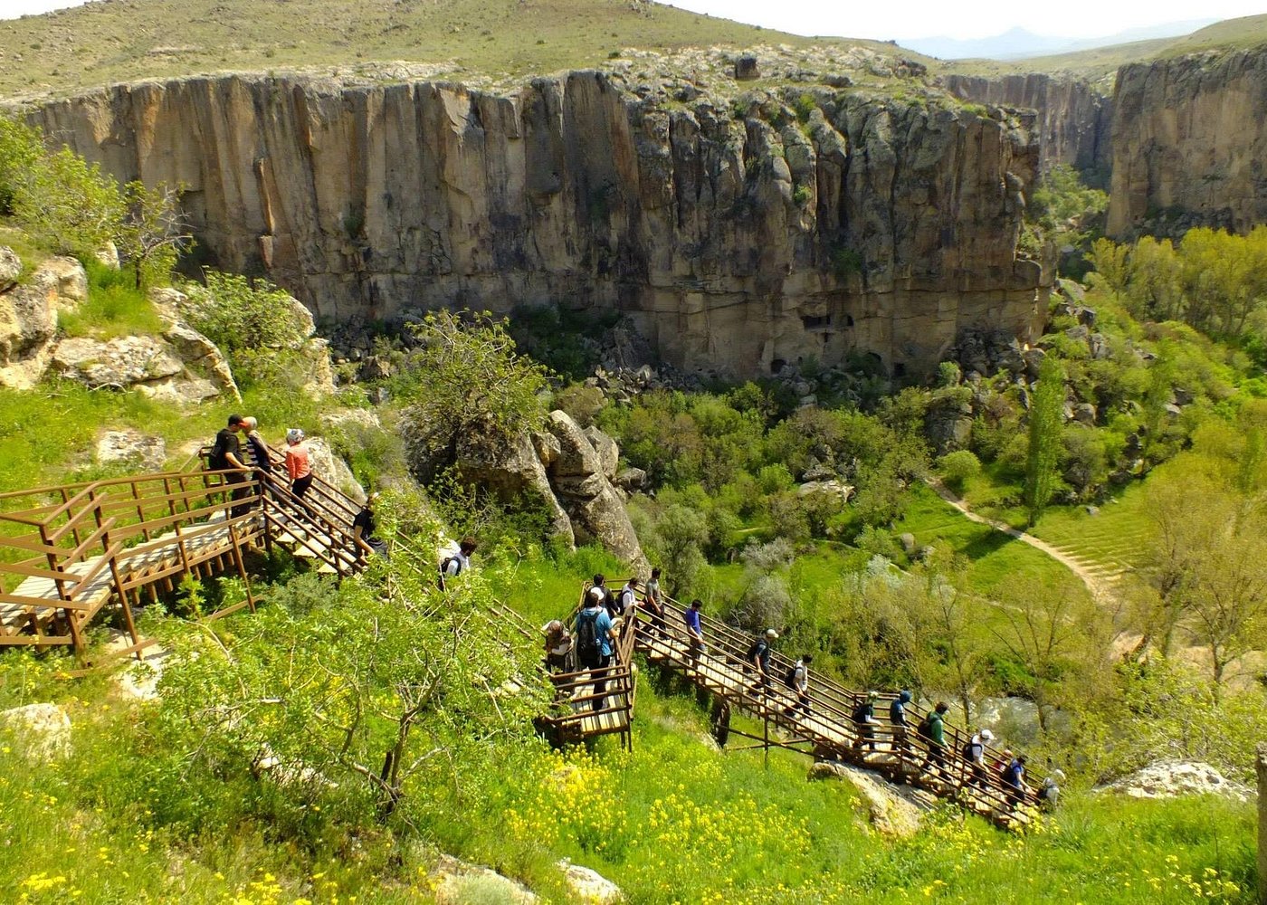 Full-Day Green Tour